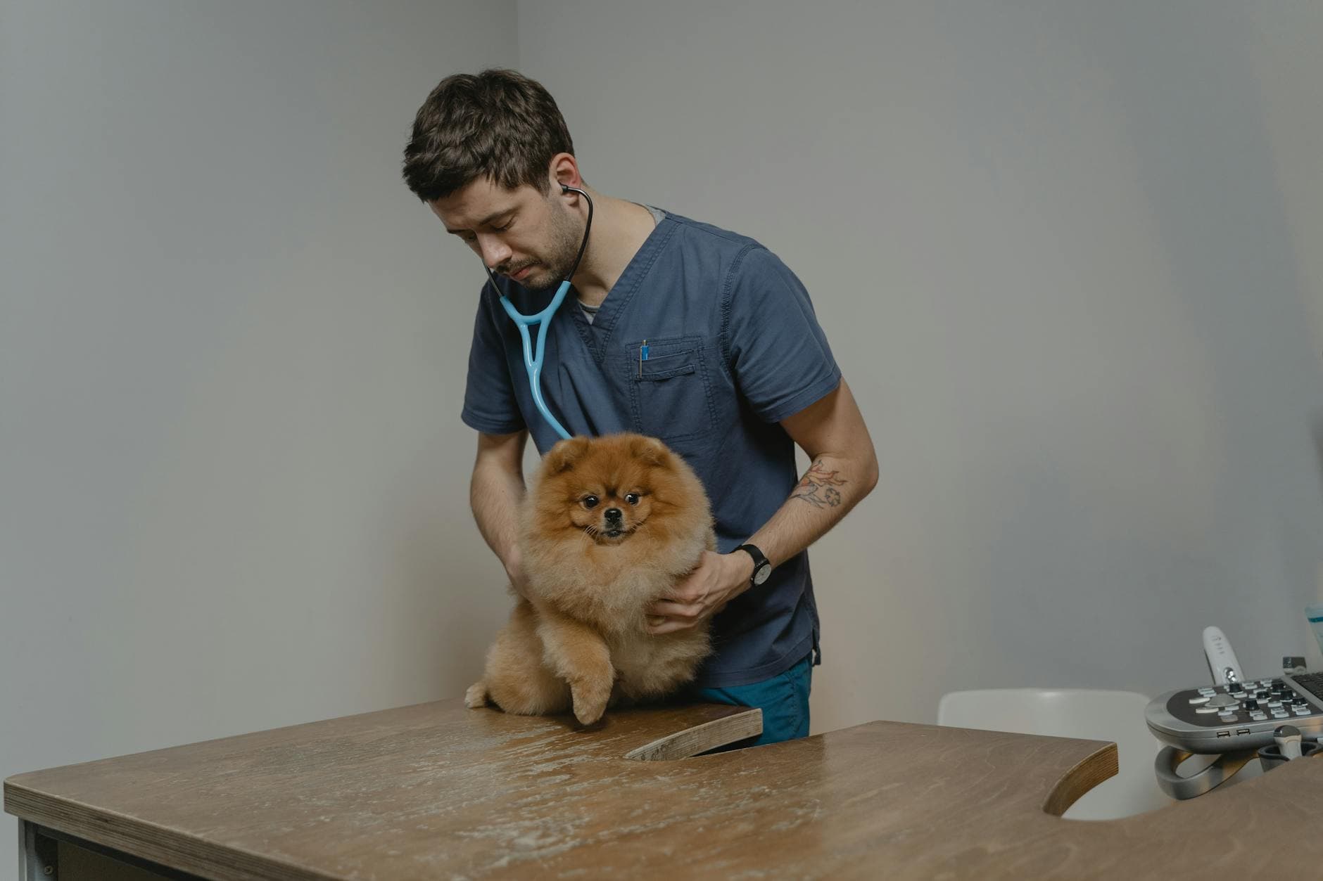 Senado aprova projeto que criminaliza o exercício ilegal da Medicina Veterinária no Brasil