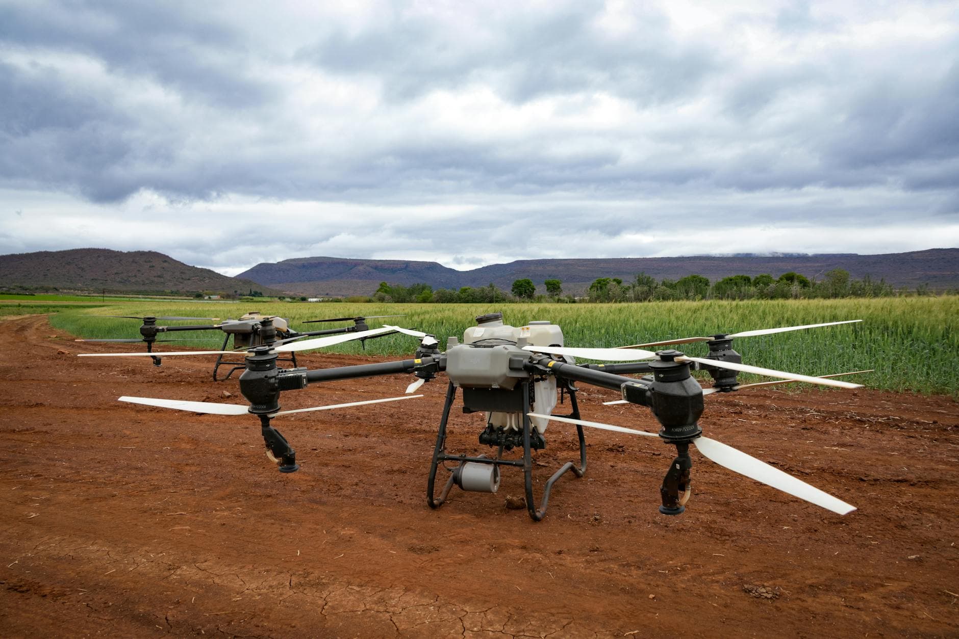 Copacol Agro 2026 reúne tecnologia, influência digital e cooperativismo no Paraná
