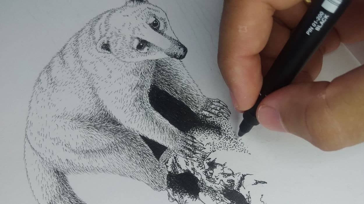 De fã de documentários a ilustrador: biólogo transforma paixão pela fauna em arte e ciência